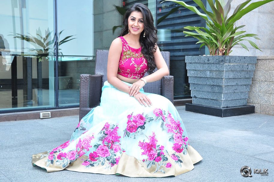 Nikki-Galrani-at-Krishnashtami-Movie-Platinum-Disc-Function